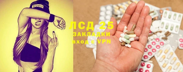 mdpv Ельня