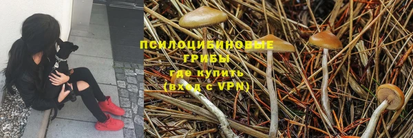 герыч Елизово