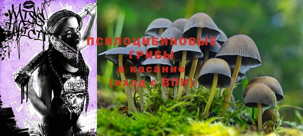 ALPHA-PVP Елабуга