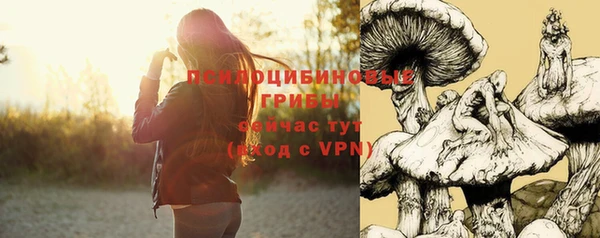 mdpv Ельня