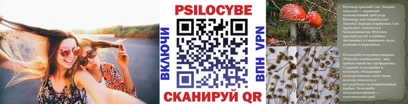 Псилоцибиновые грибы Psilocybine cubensis  Камызяк 
