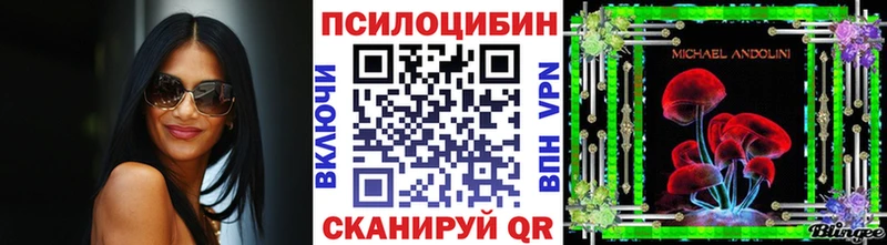 Галлюциногенные грибы Magic Shrooms Камызяк