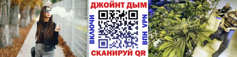 закладка  Камызяк  Марихуана сатива 